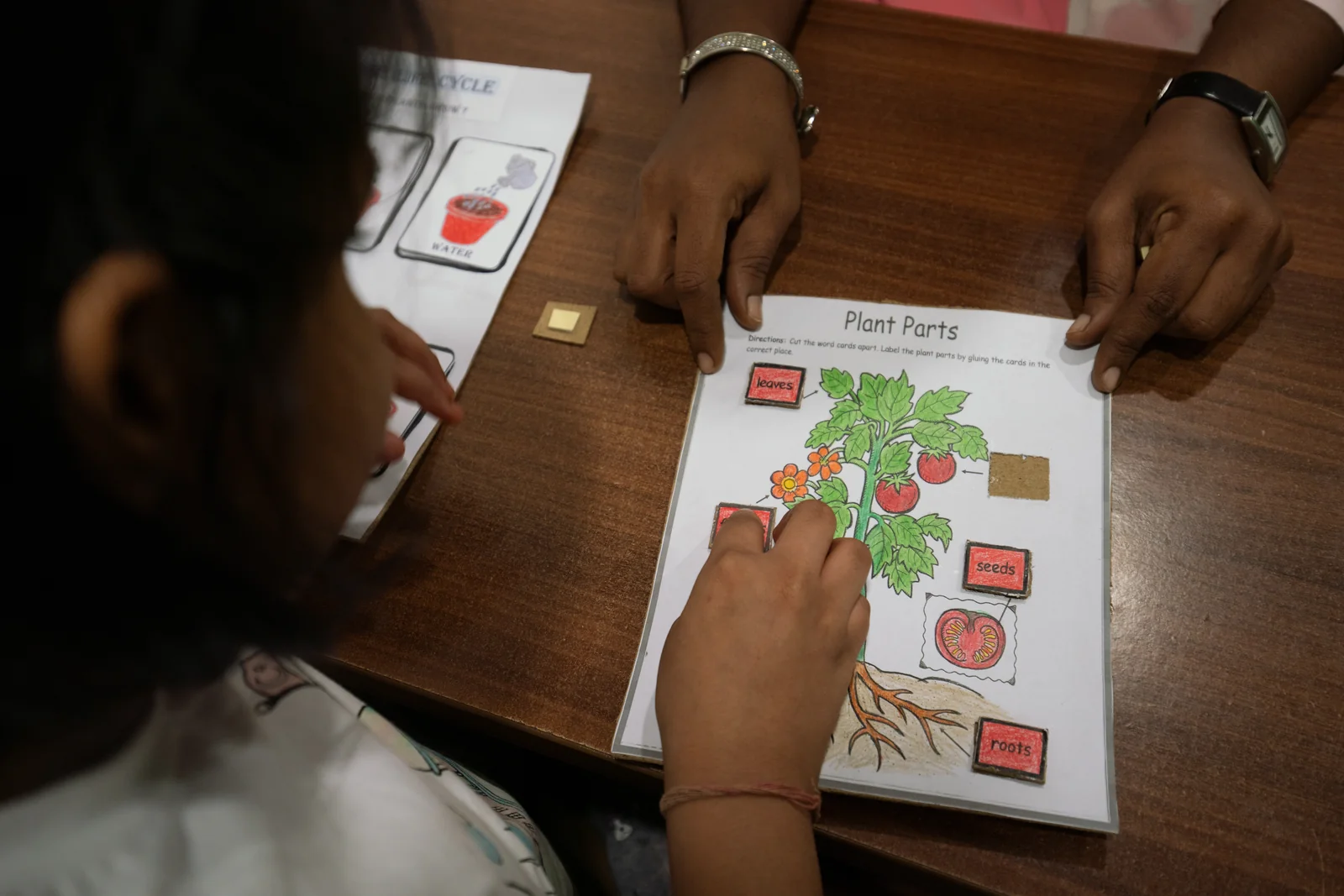 Open schooling- Elementary program